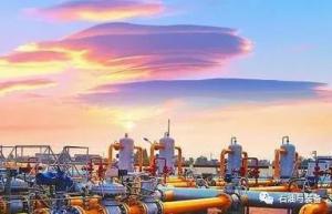 专家视点 | 专家热议:新时代油气产业发展面临哪些机遇与挑战?